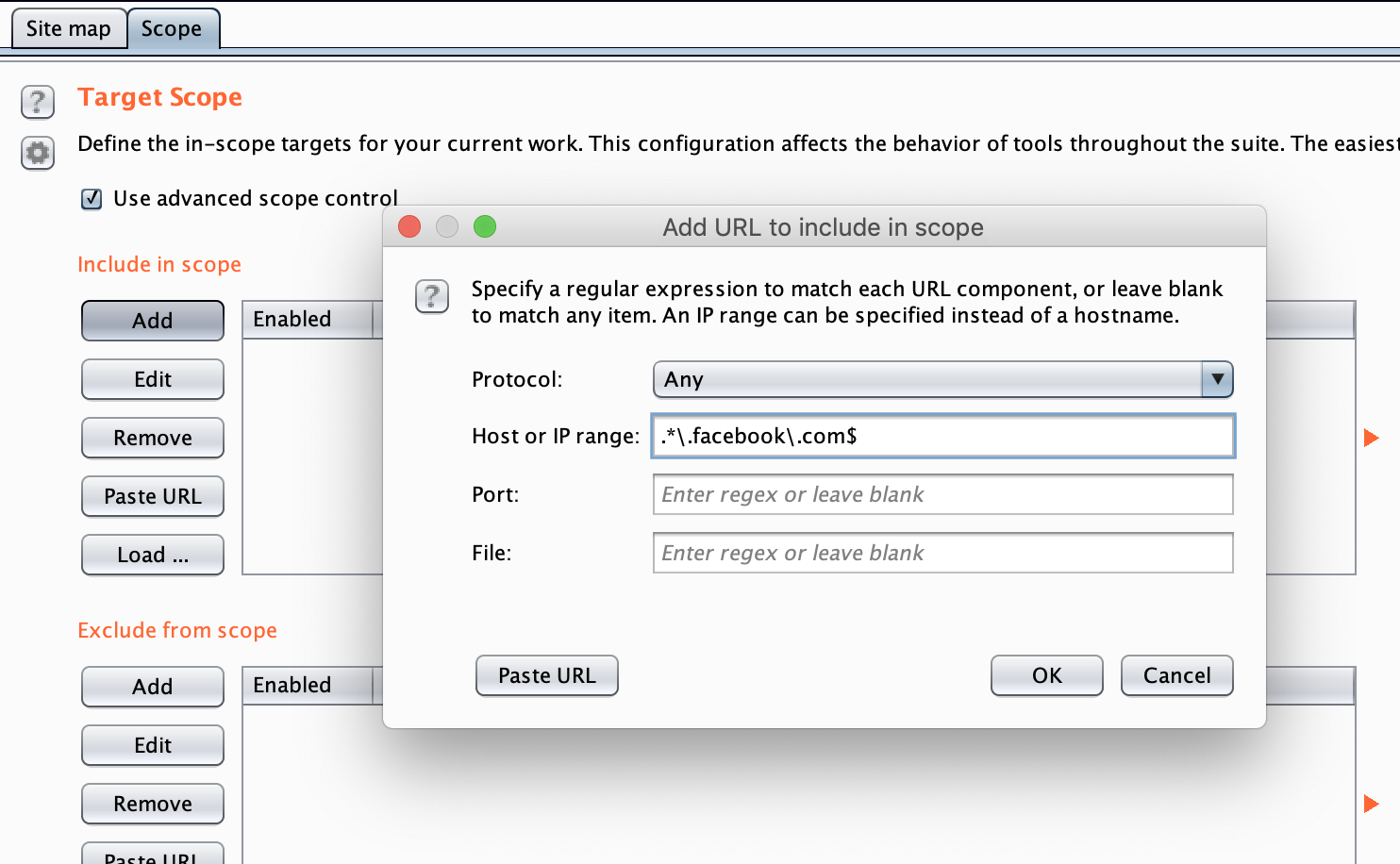 Burp Scope Burp Scope