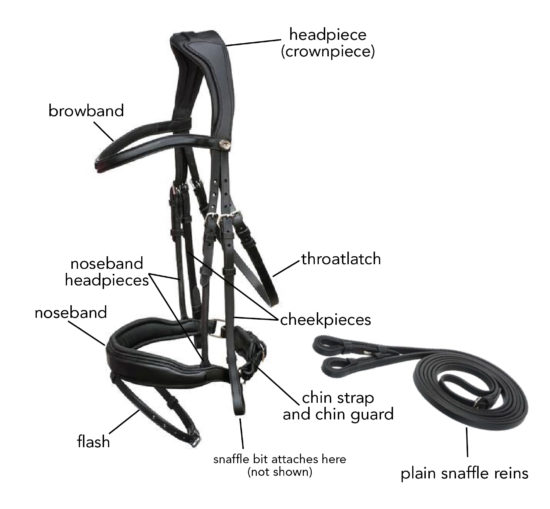 Parts of bridle
